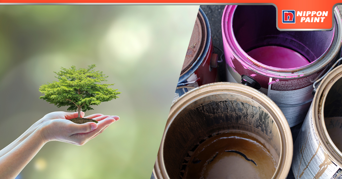 your-guide-to-painting-the-ultimate-eco-friendly-home-v2