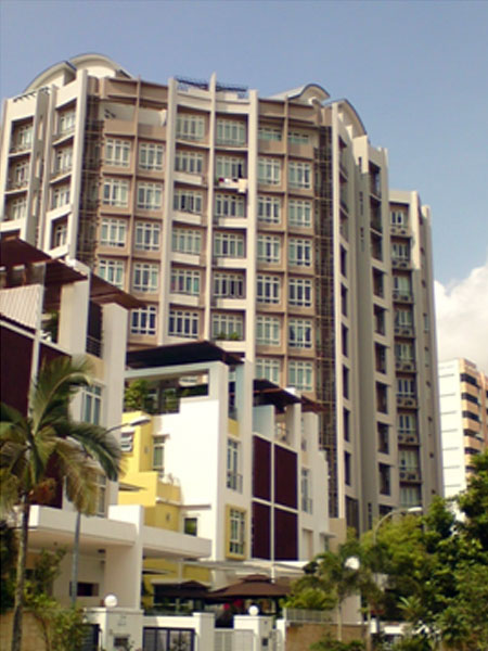 The Heliconia