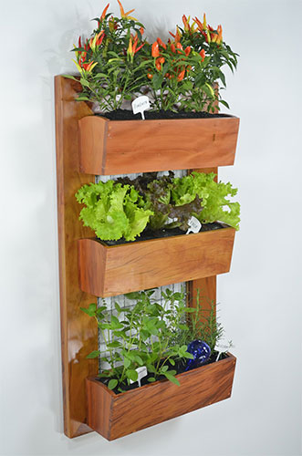 5-ways-to-have-a-lush-indoor-garden-3