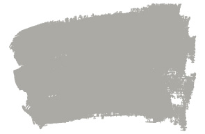 dinosaur-gray-np-n-2042-p