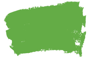 monkey-colleen-green-np-ac-2116-a