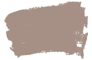 mushroom-brown-np-n-1882-t
