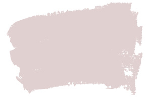orchid-reach-np-n-1942-p
