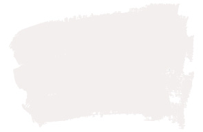 orchid-white-1139