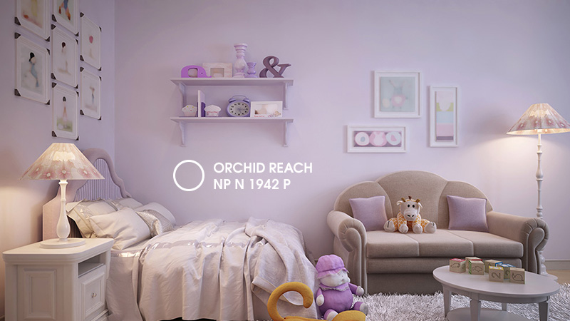 ox-orchid-reach