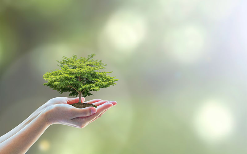 Guide to Painting an Eco-Friendly Home | Nippon Paint Singapore