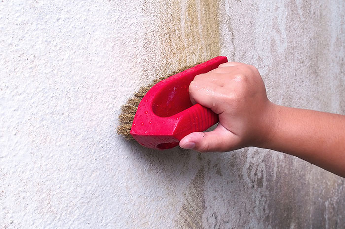 clean-your-painting-surface