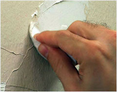 Mending Walls - Step 2